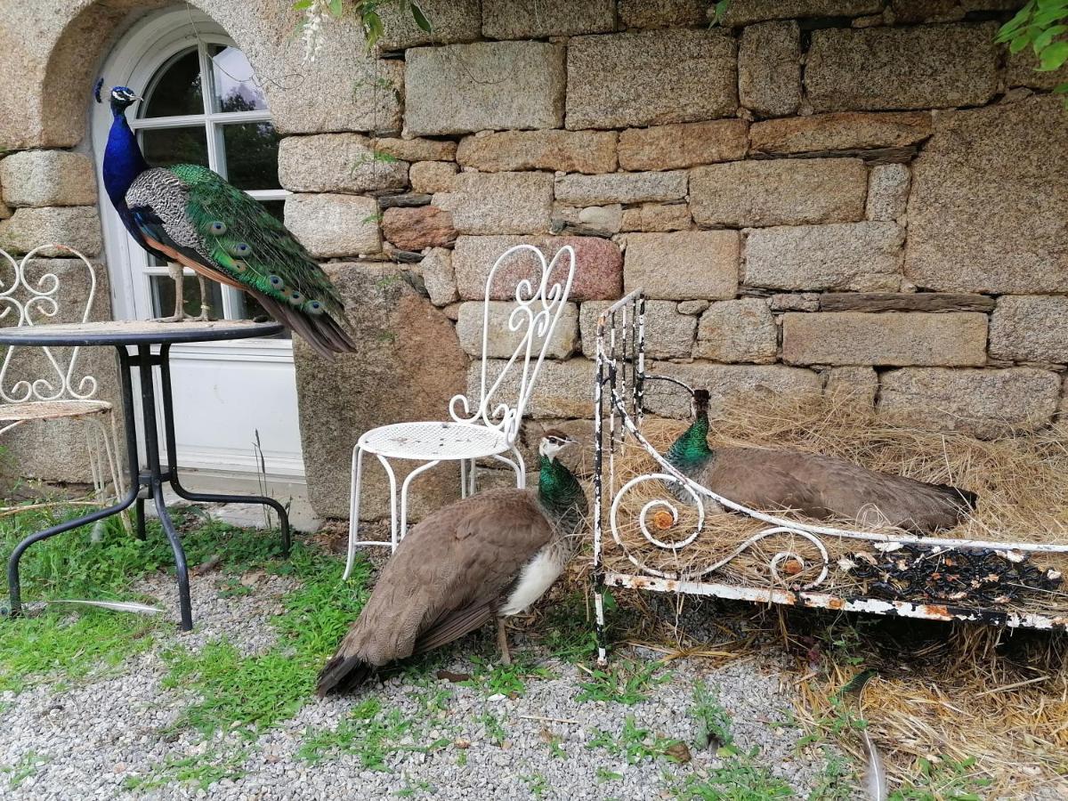 Frairie Du Divit Bed & Breakfast Понтиви Екстериор снимка